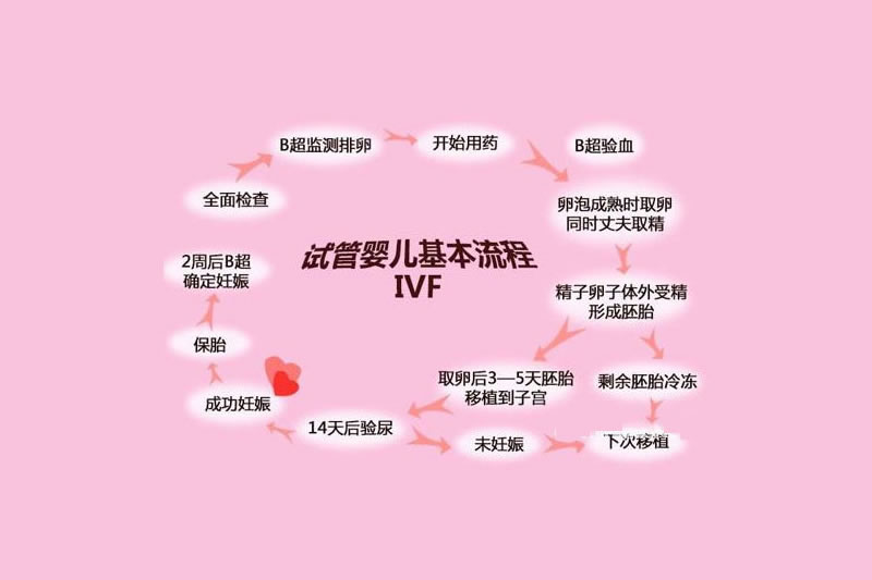 第一代試管嬰兒(IVF)流程_成功率_費(fèi)